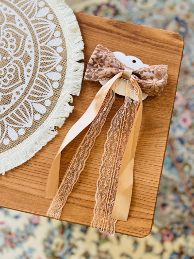 گیره پاپیونی دانتل